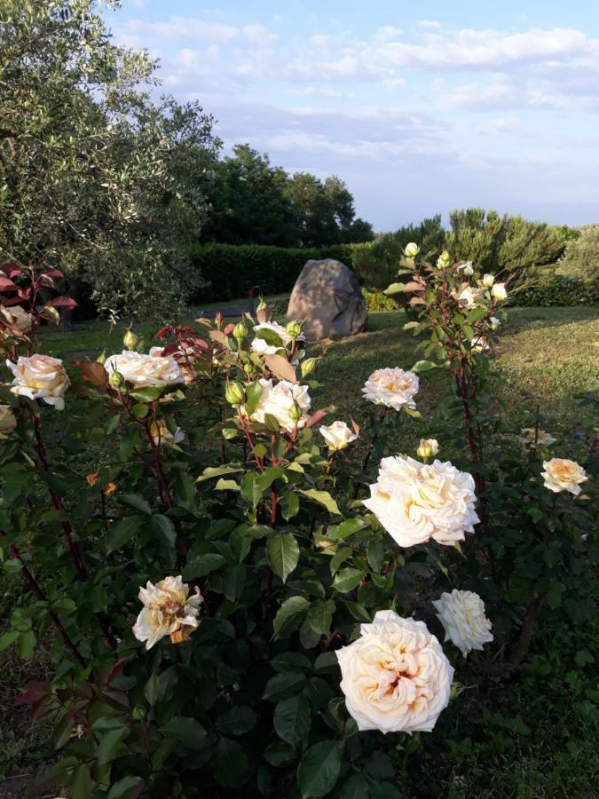 Bed and Breakfast L'Orto Sul Poggio Sutri Exterior foto